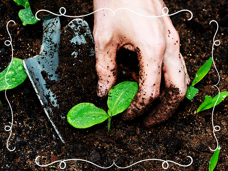 Garden without getting Gardener’s hands